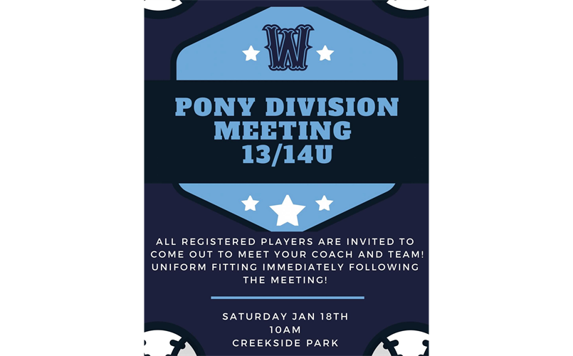 Pony Division Players